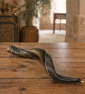 Authentic Natural Shofar (Ram’s Horn)
